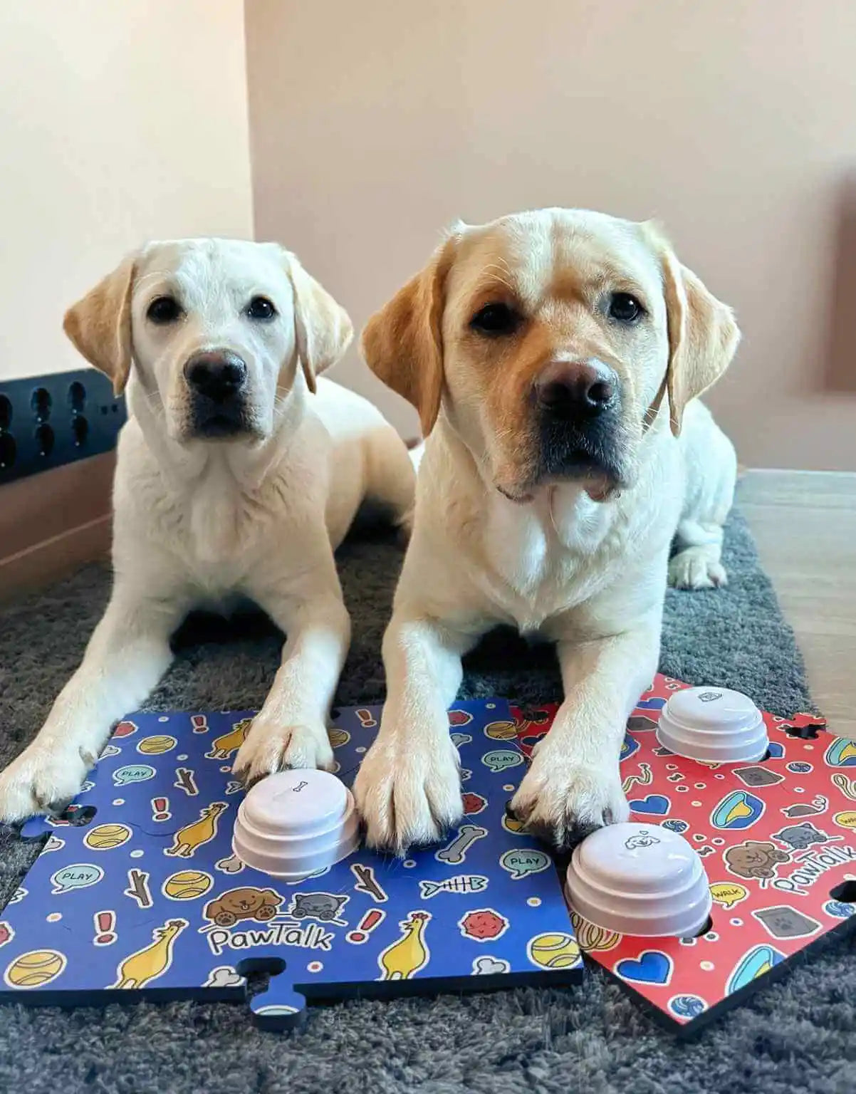 PawTalk Utviklingspakke